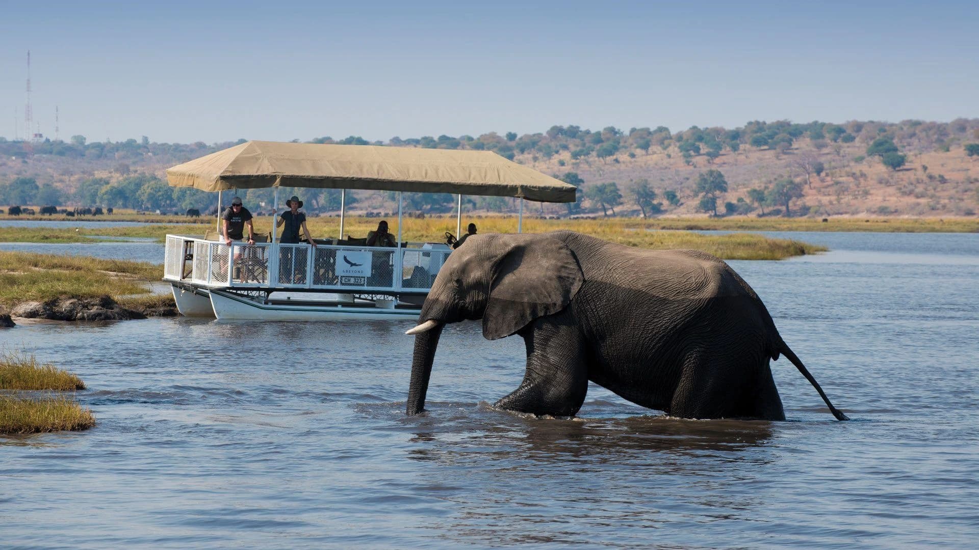 Boating in Chobe National Park