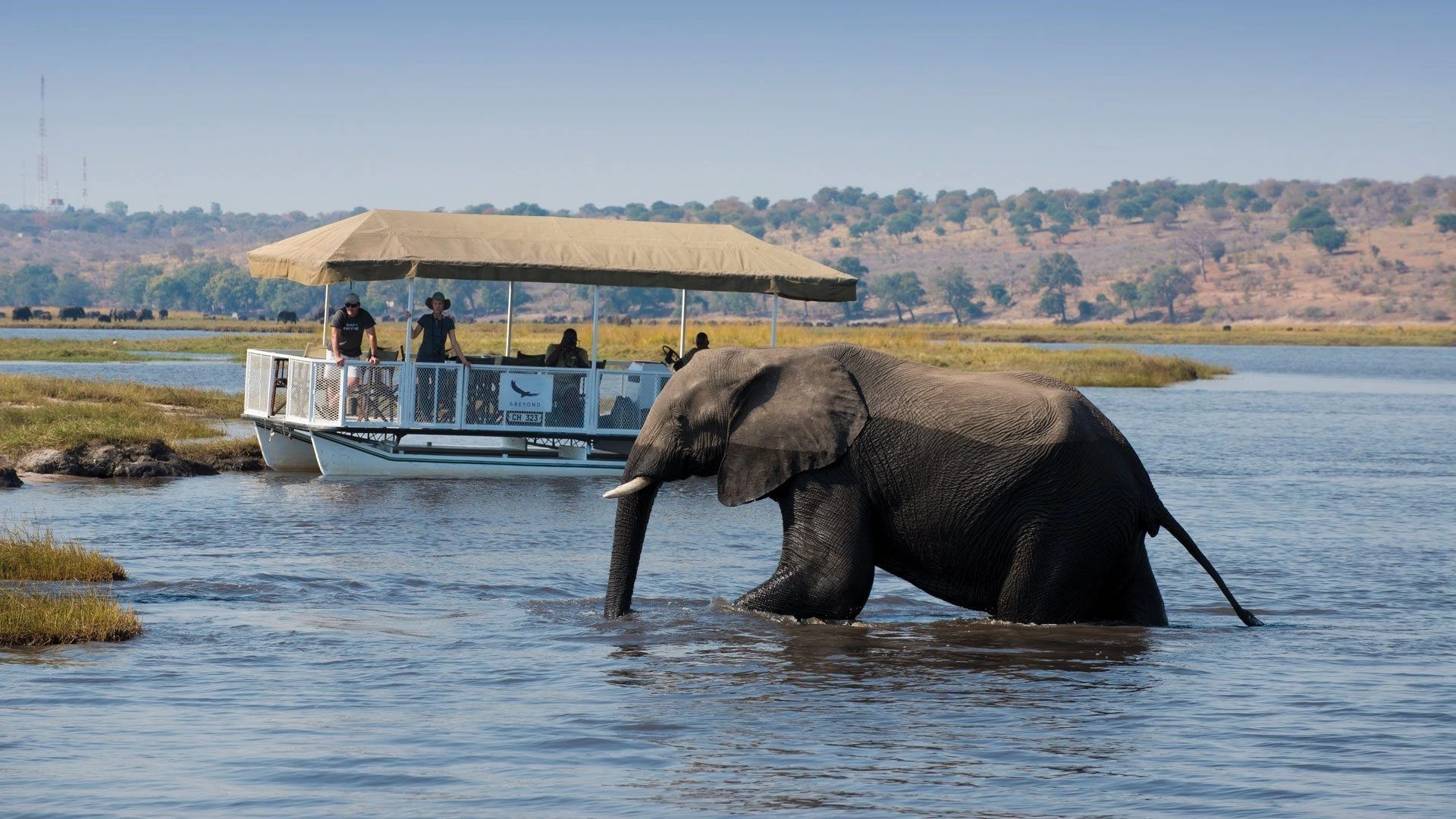 Boating in Chobe National Park