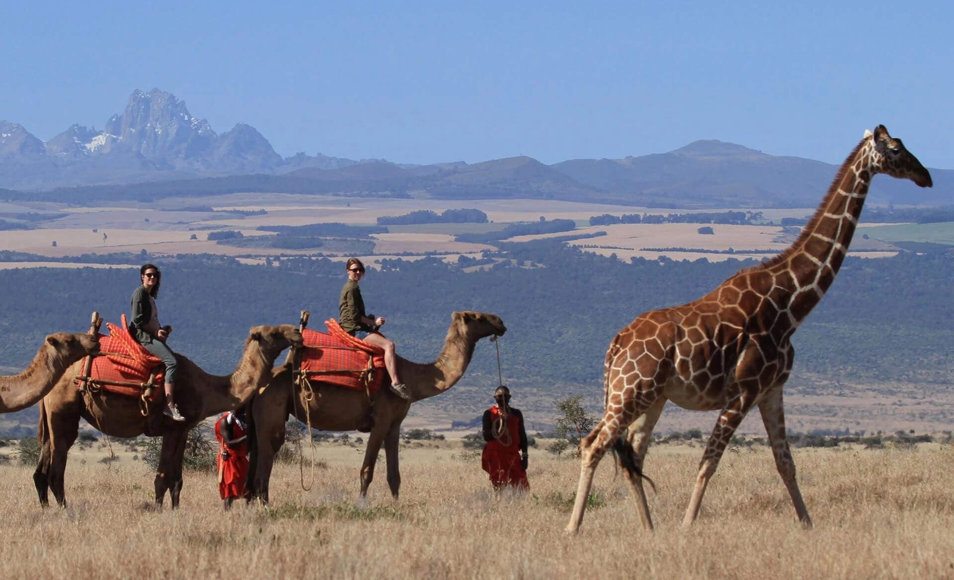 Park Photo Gallery Expanded Kenya Laikipia 3