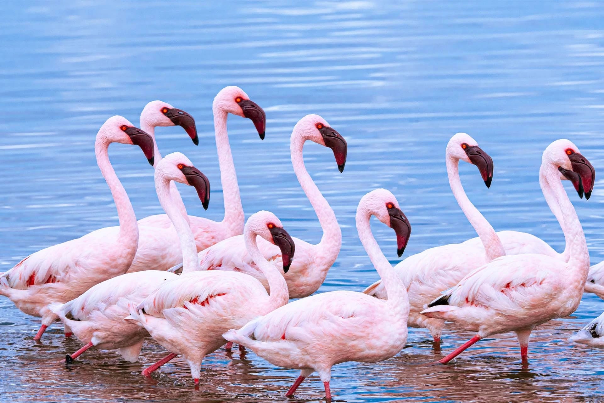 Lake Manyara National Park