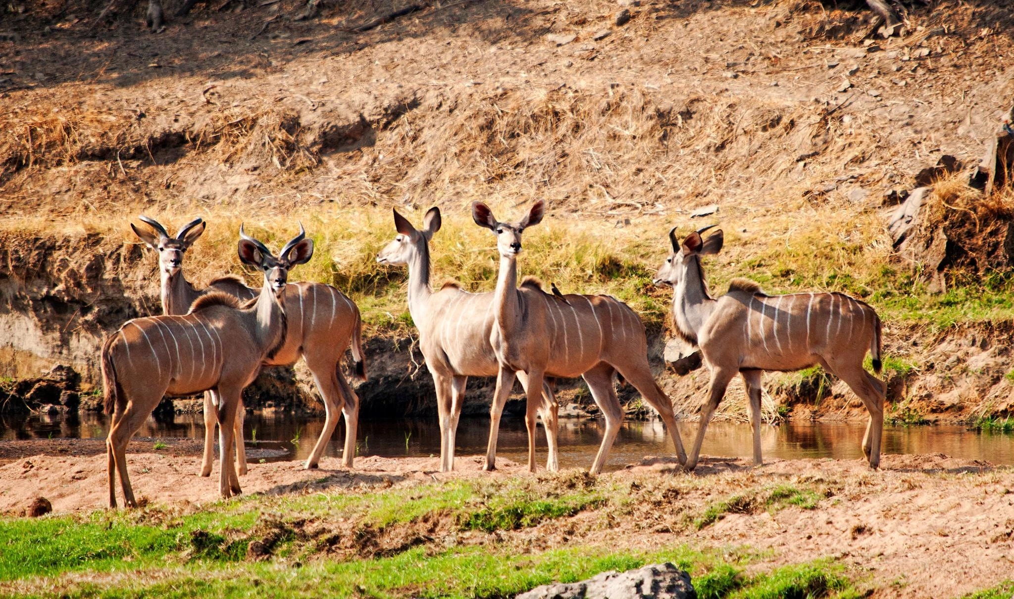 Ruaha National Park