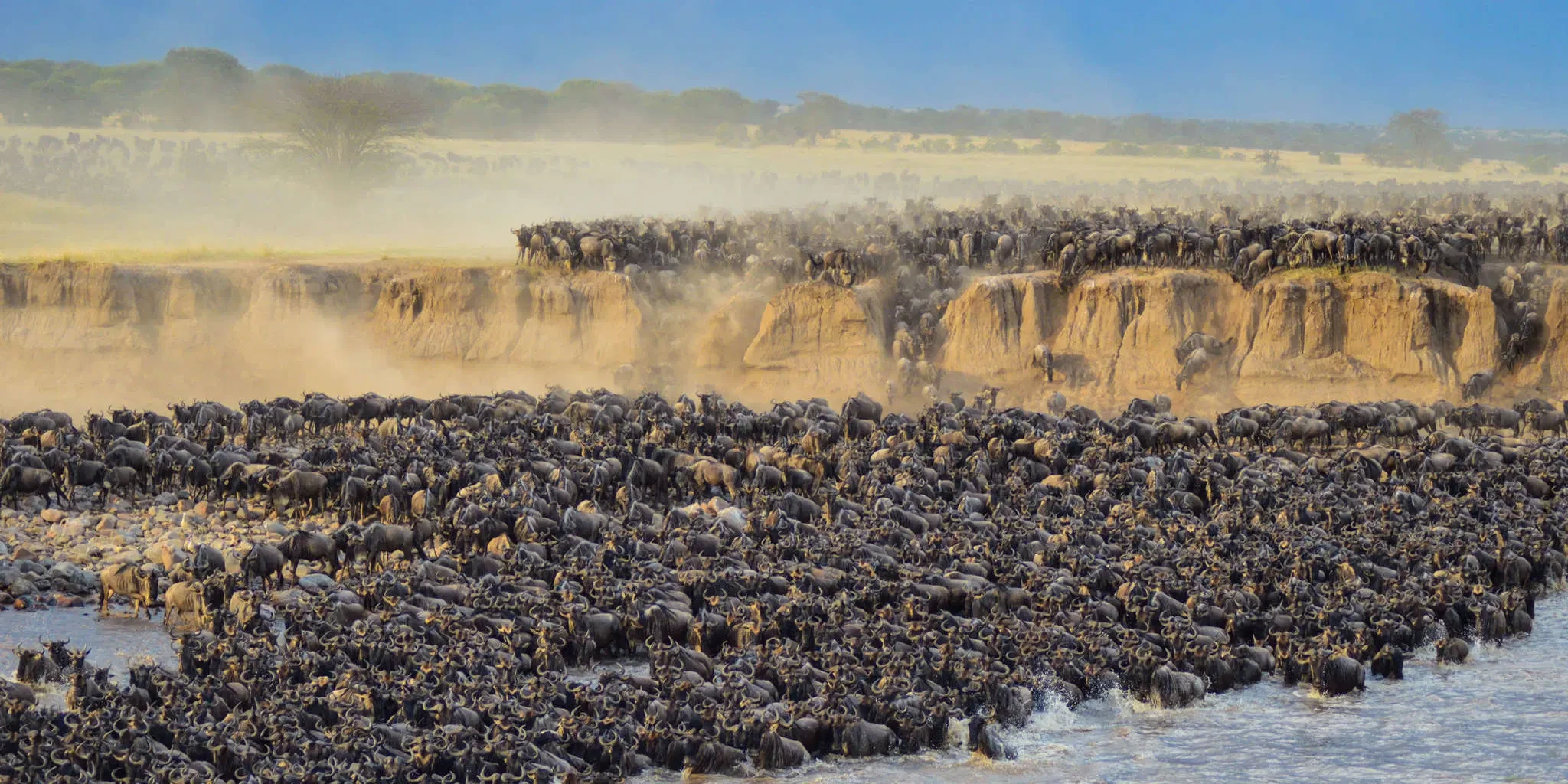 Grand Tanzania: Migration Safari & Zanzibar Escape