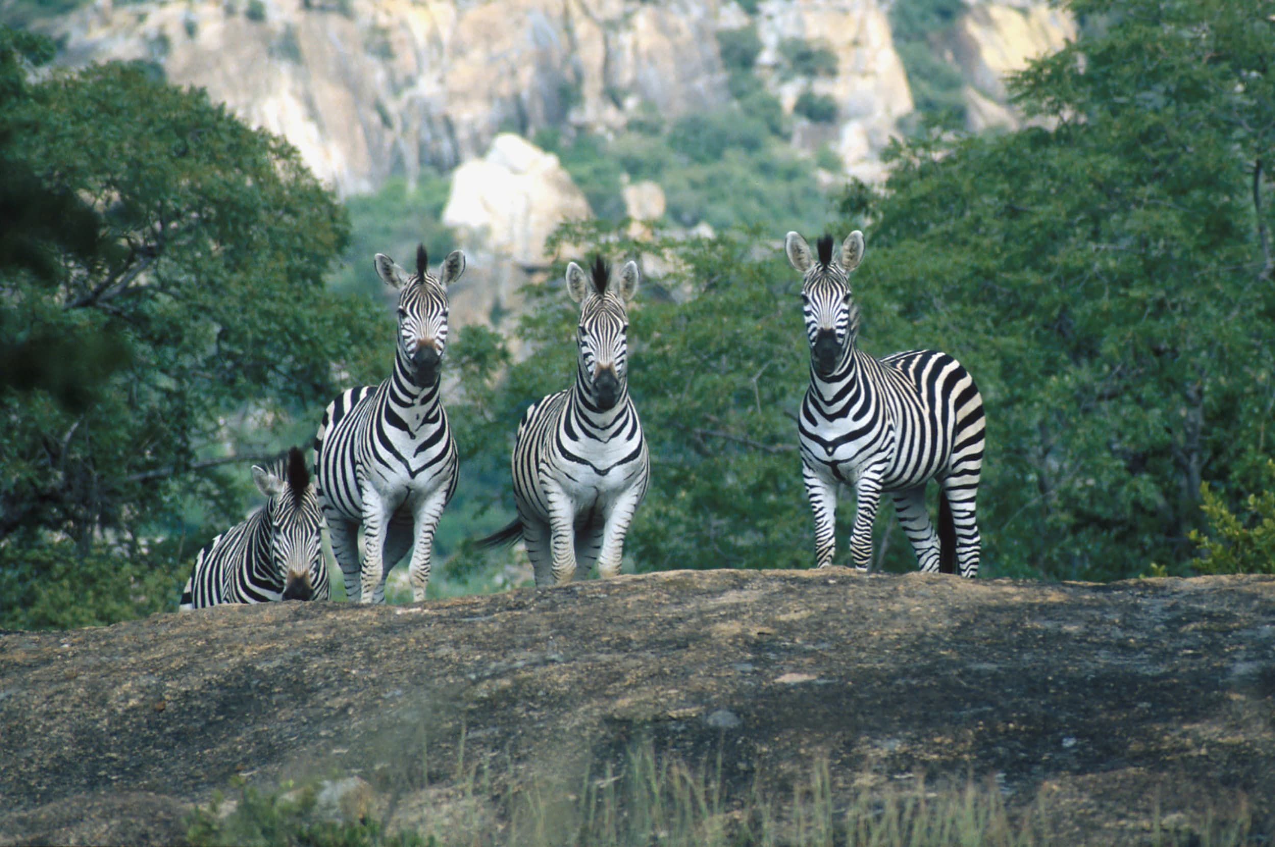 Matobo Hills 1