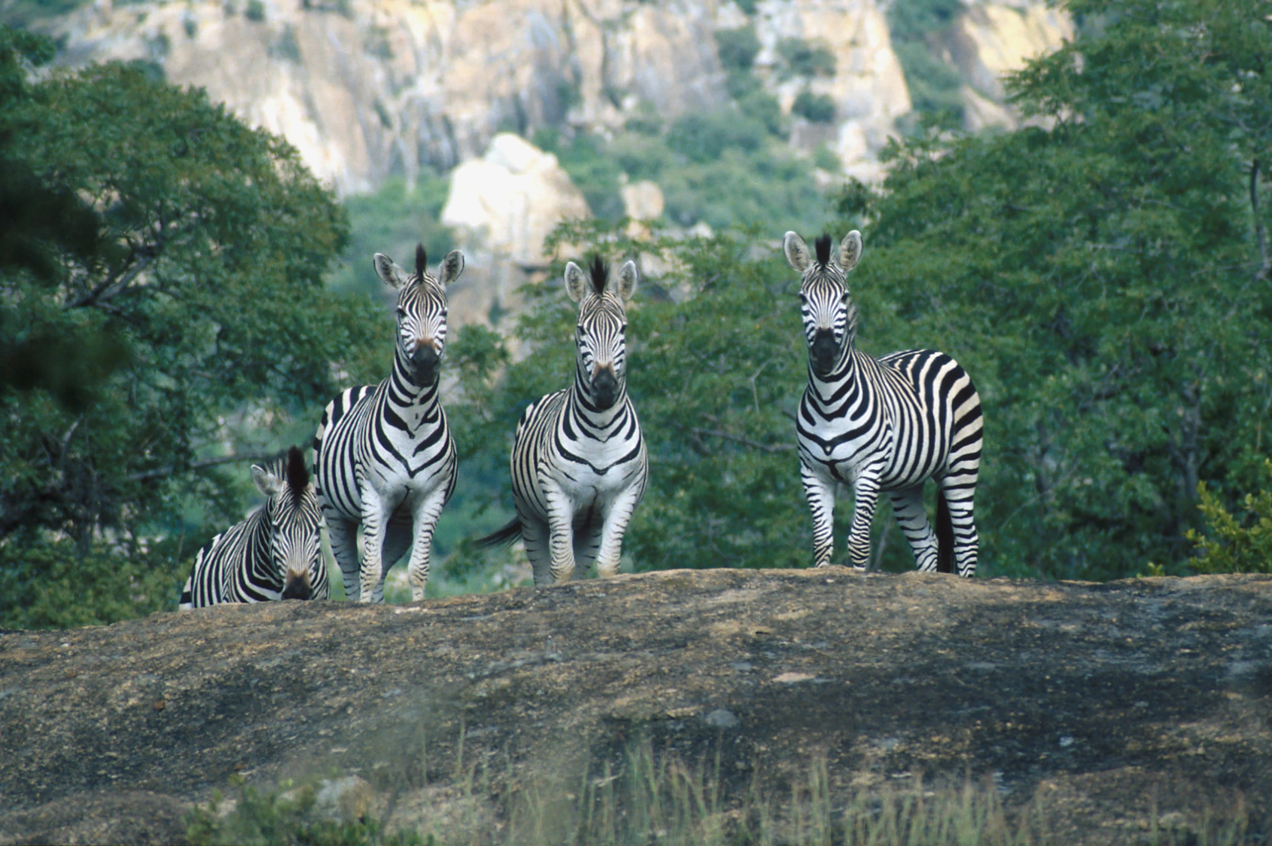 Matobo Hills 1