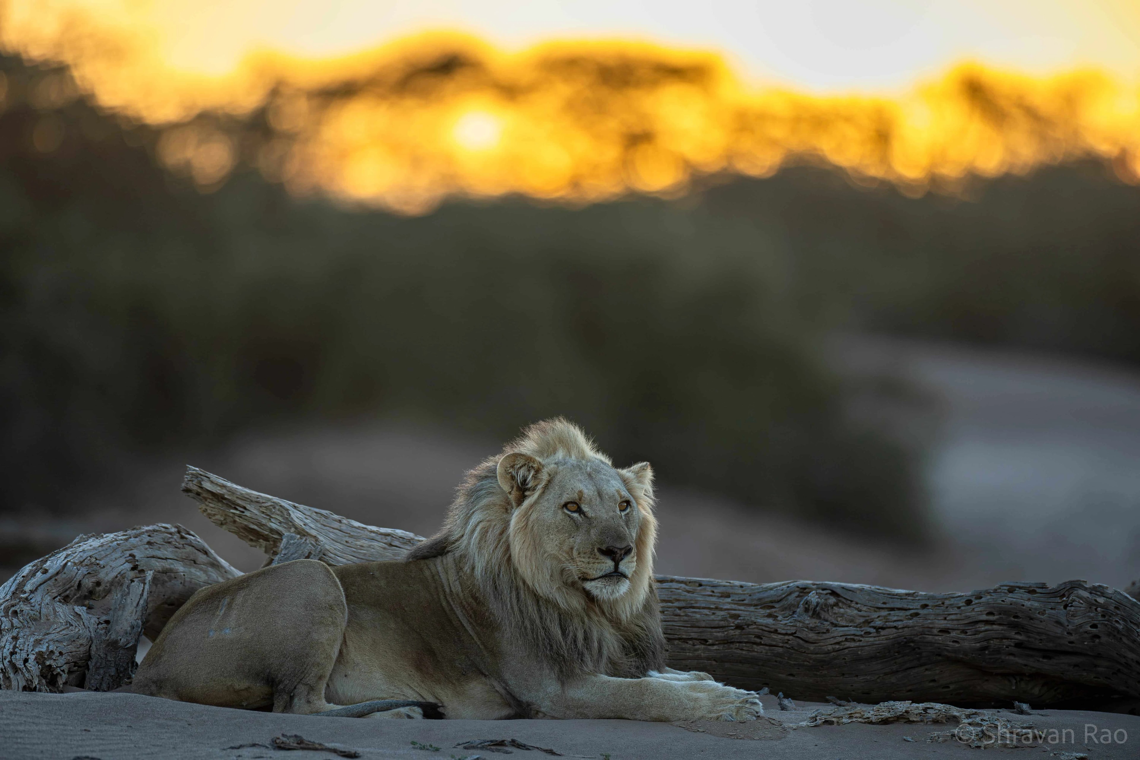Namibia Photography Tour