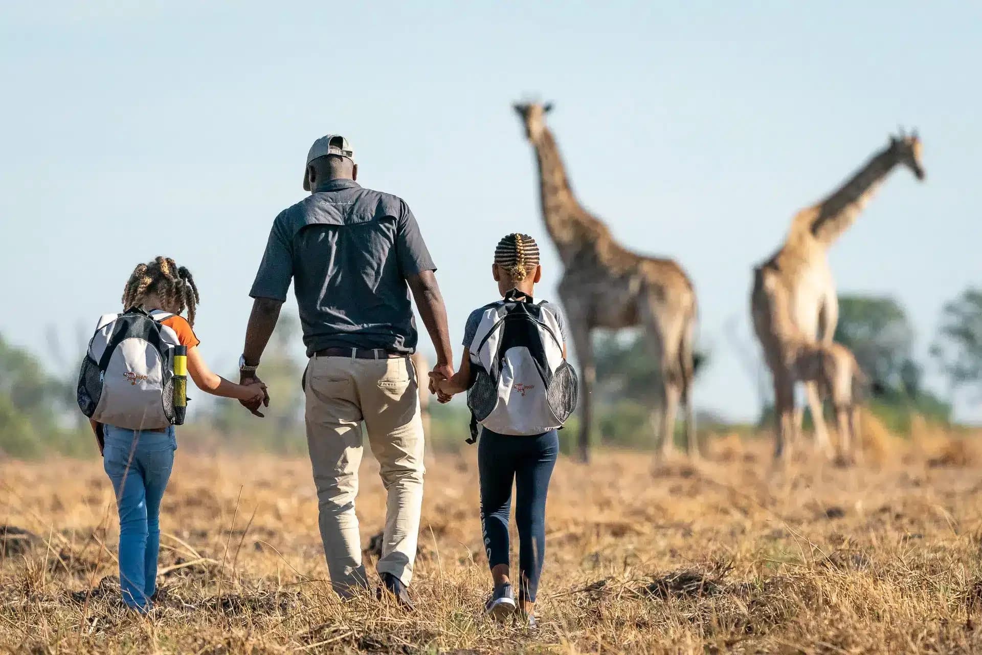 Family Safaris in South Africa African Safaris Cheetah Safaris 2
