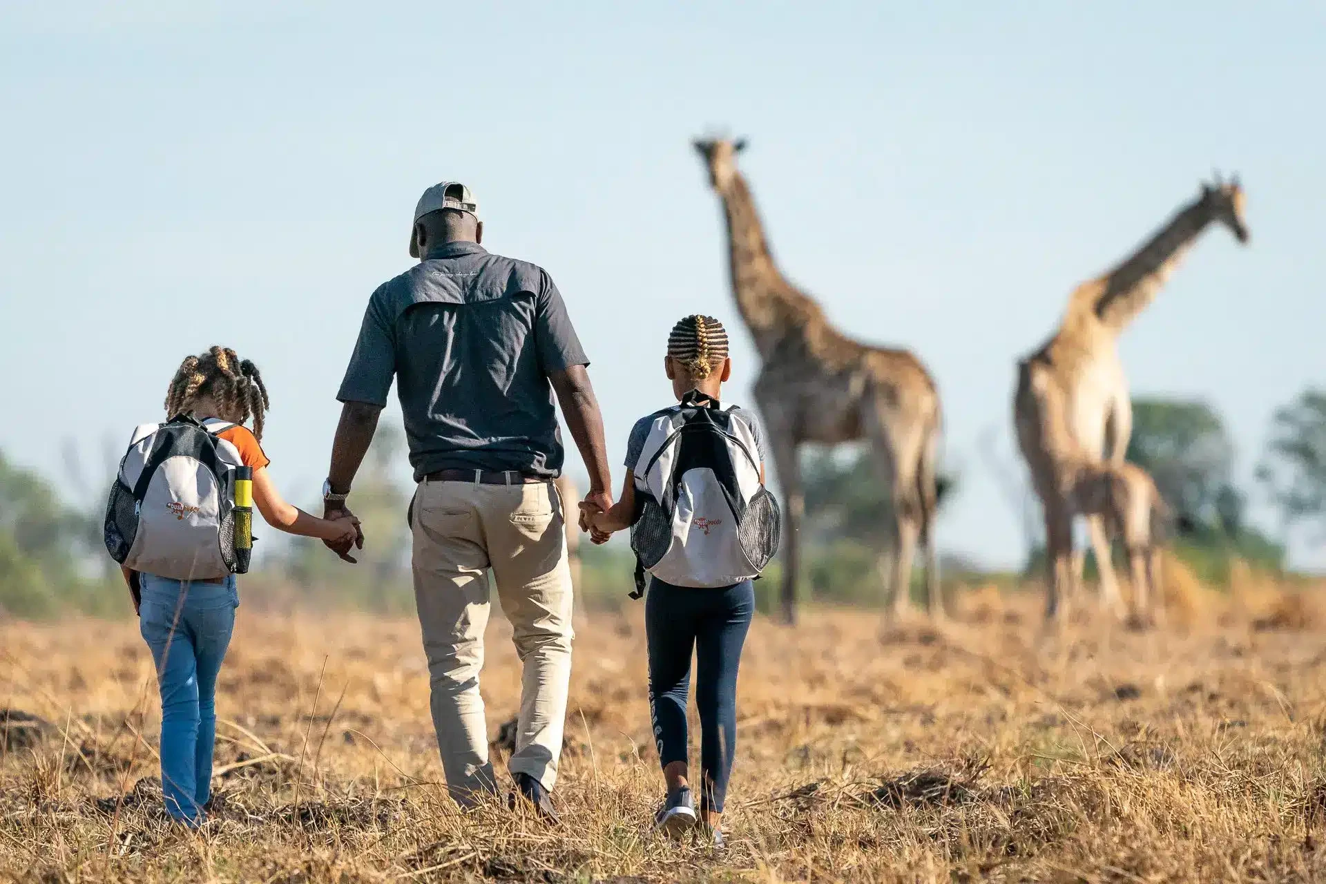 Family Safaris in South Africa African Safaris Cheetah Safaris 2