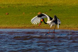 Lake Kariba