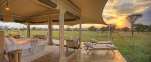 Ultimate Luxury Tanzania Safari Expeditions